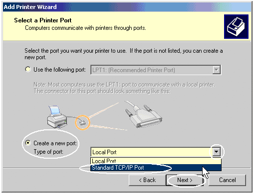 Select Create a New Port, then use the drop-down arrow to select Standard TCP/IP Port. Click Next.